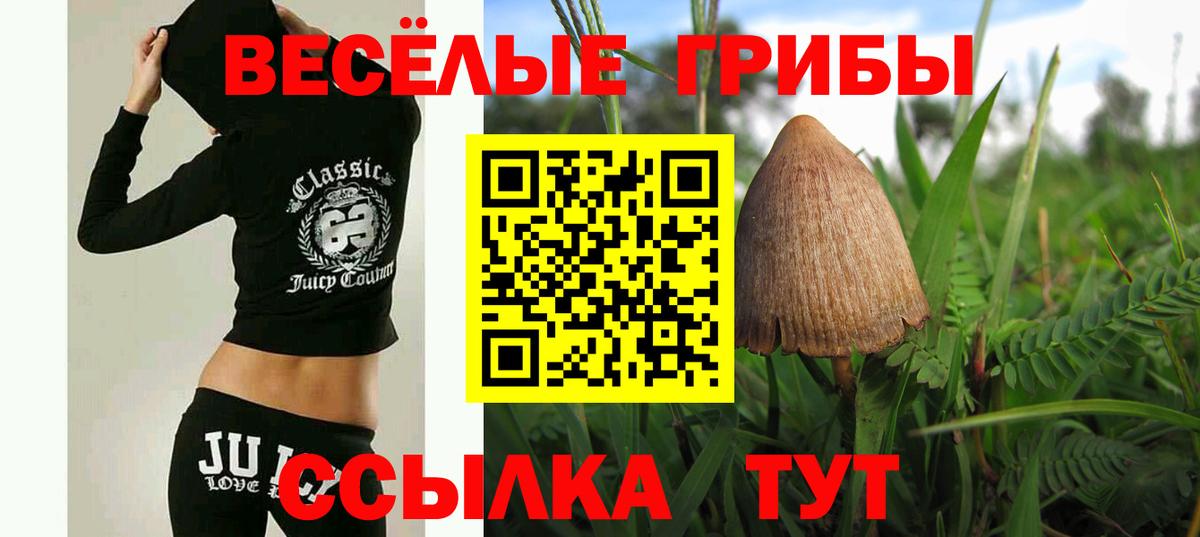 Галлюциногенные грибы Magic Shrooms  Вход с VPN  Галлюциногенные грибы Psilocybe  Корсаков 